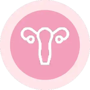 disfuncoes-pink